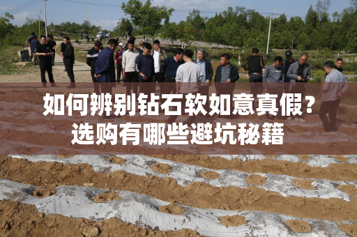 如何辨别钻石软如意真假？选购有哪些避坑秘籍